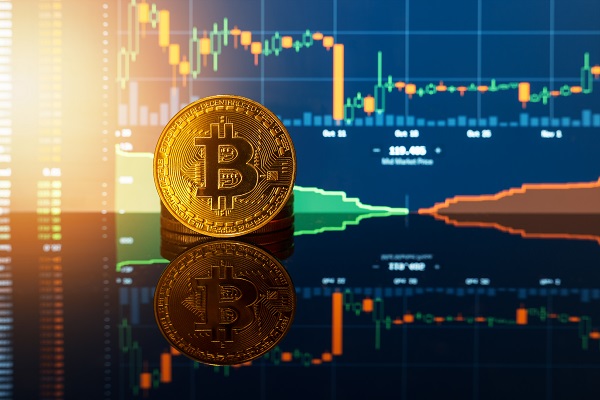 Multi currency crypto wallet
