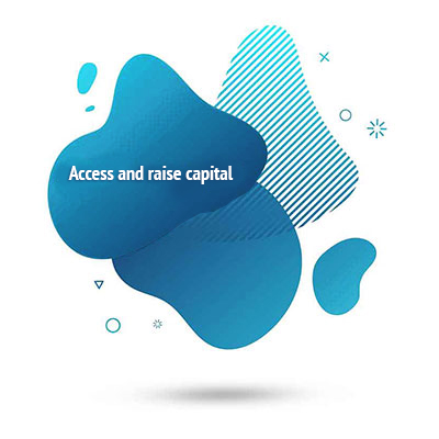 Access and raise capital
