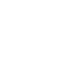 Highly secure icon