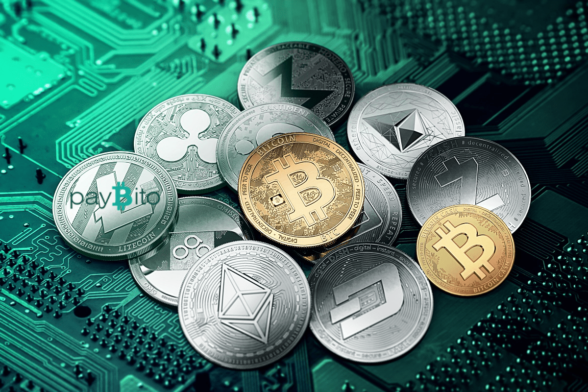 PayBitoPro to add new altcoins.