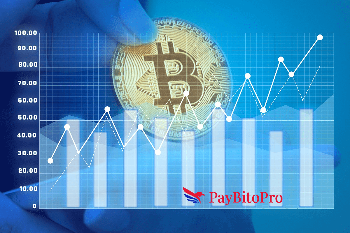 The Growing Popularity of Crypto Derivatives Trading - PayBito