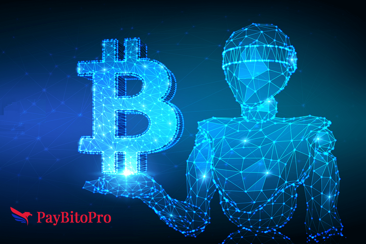 PayBito - All Set to Bring the State-of-the-Art Crypto ...