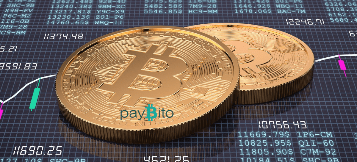 btc worth 0.254669