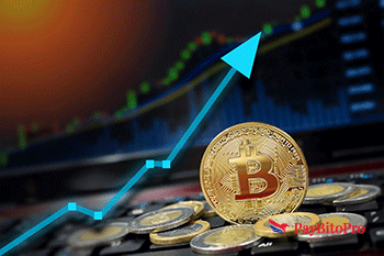 Bitcoin Hits Record High, Attracts Investors