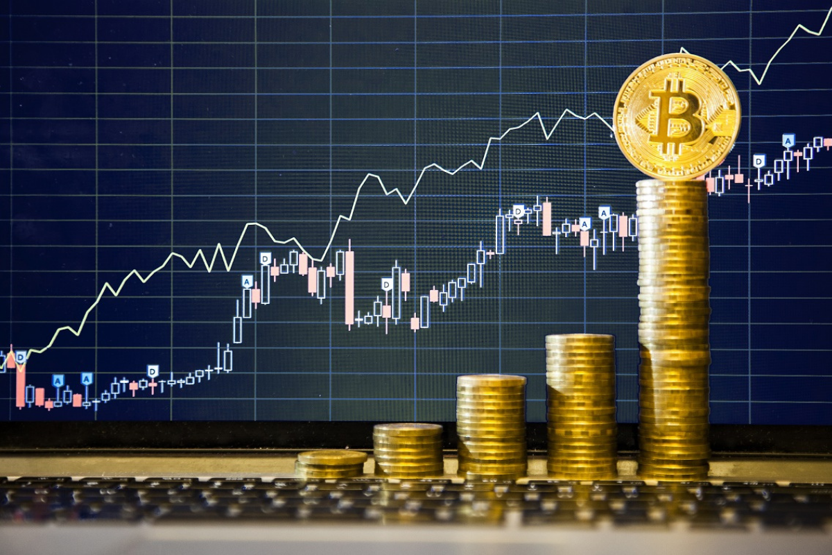 Where To Invest – Stocks, Crypto, Or Forex?
