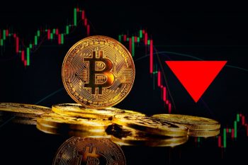 10 cryptocurrencies to “Bear” in 2022