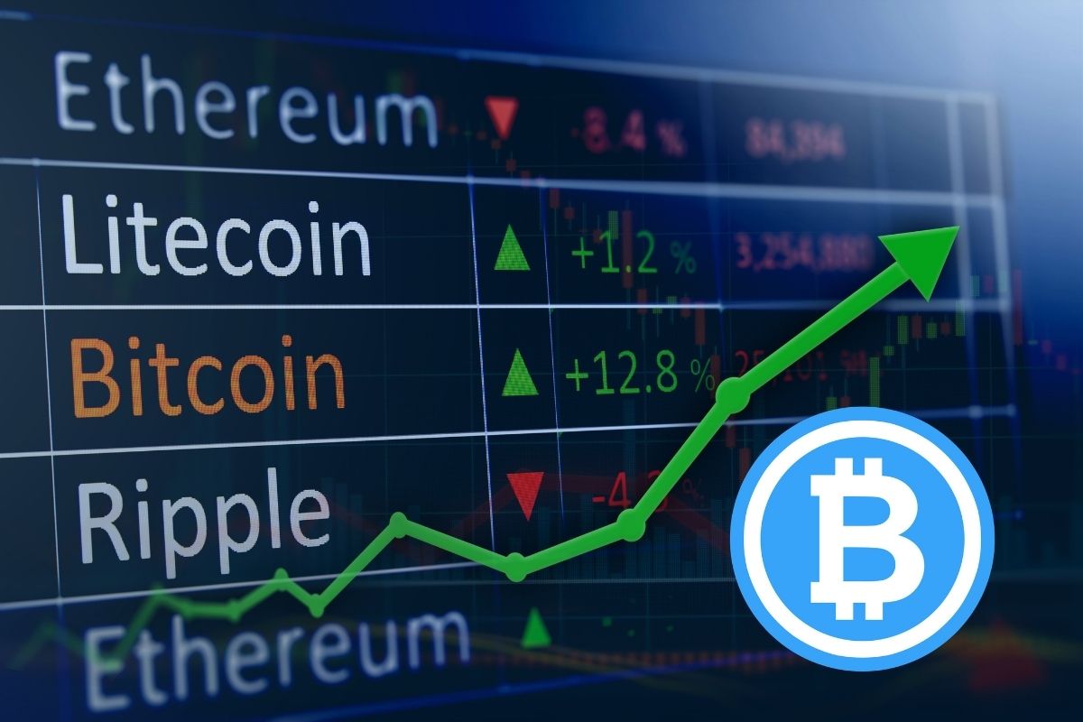 Crypto Markets Rebound: BTC, ETH, ADA, AXS Finally Record Gains