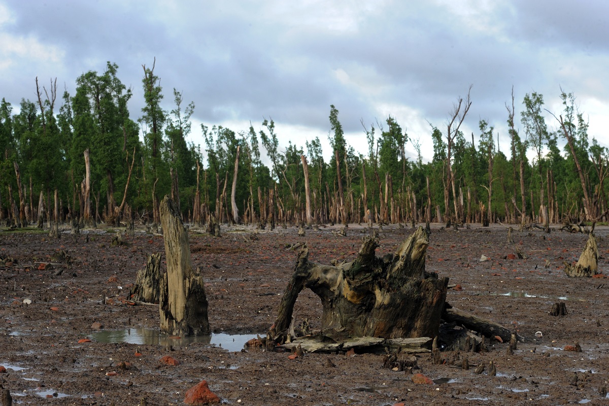 The Aftermath of Natural Disasters in Sundarbans