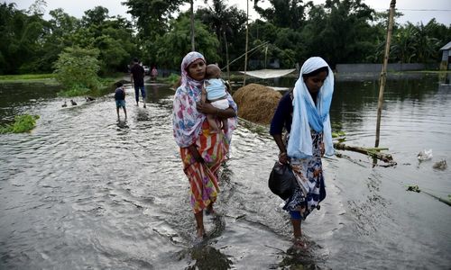 Sundarbans Locals