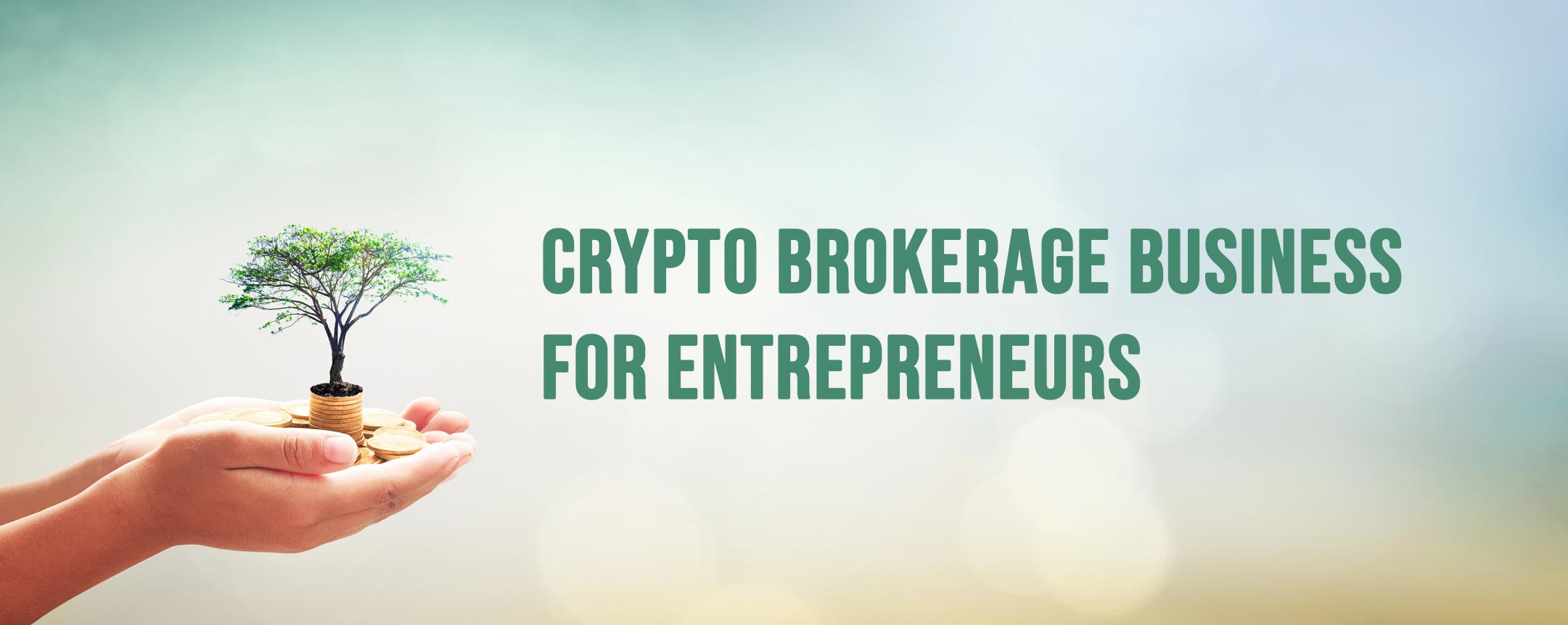 Crypto Brokerage Business For Entrepreneurs