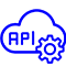 Encrypted APIs for Security