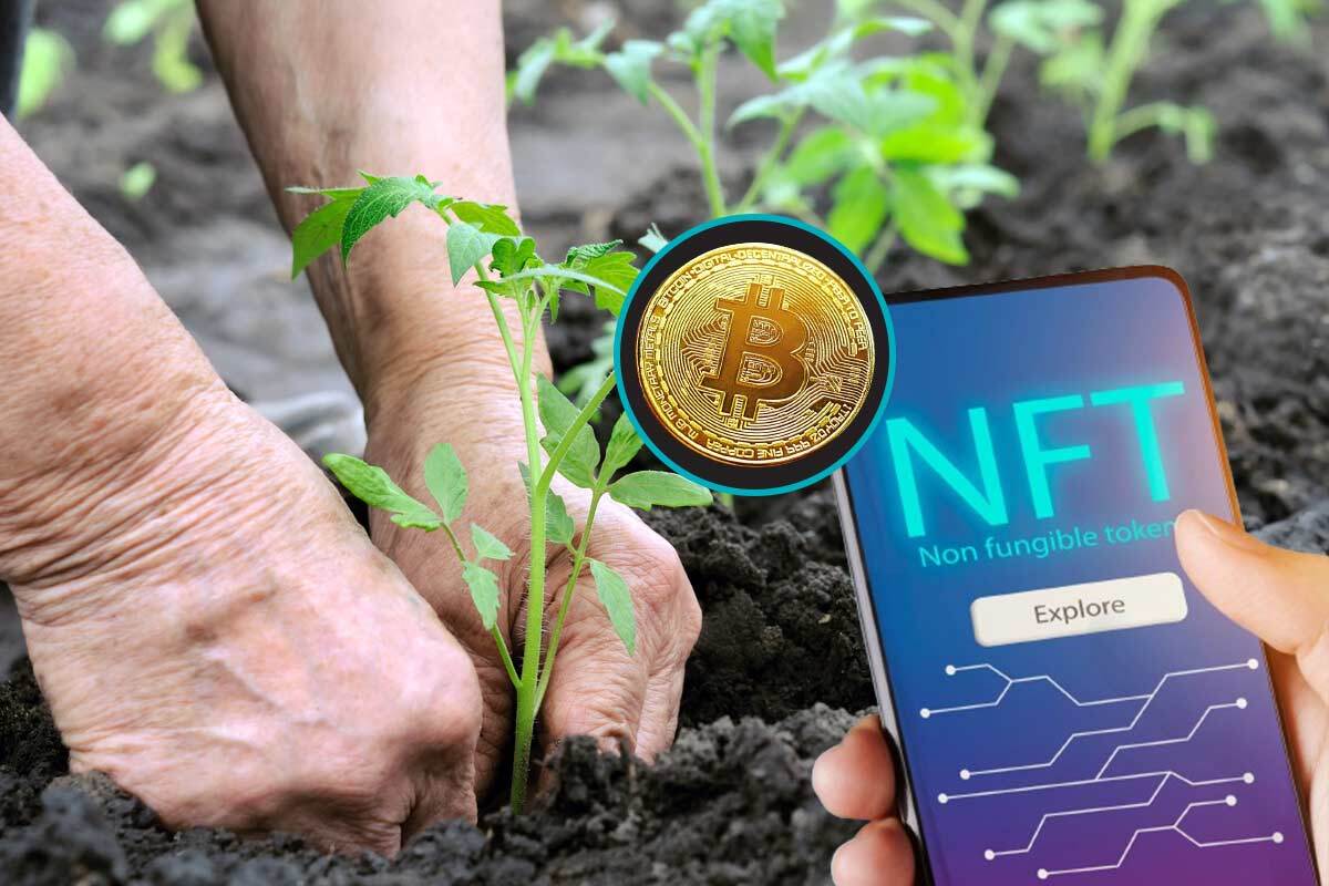 The Usefulness of NFT in the Farming Industry