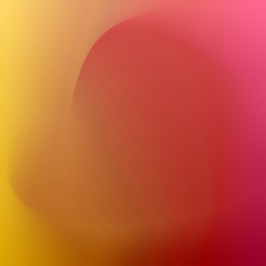 Video 4