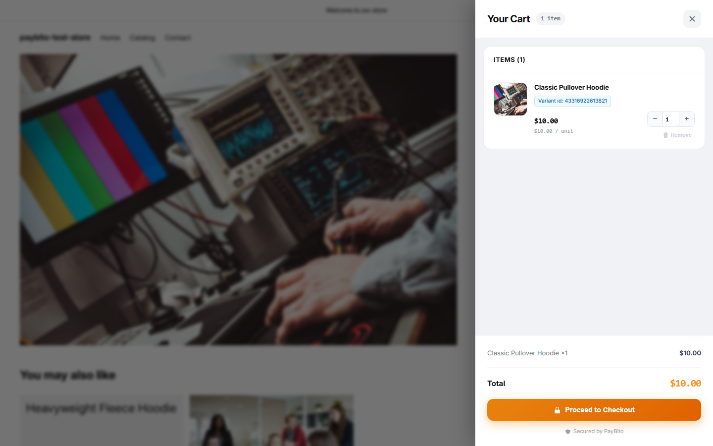 PayBito cart panel on a Shopify store showing items, quantities and order total